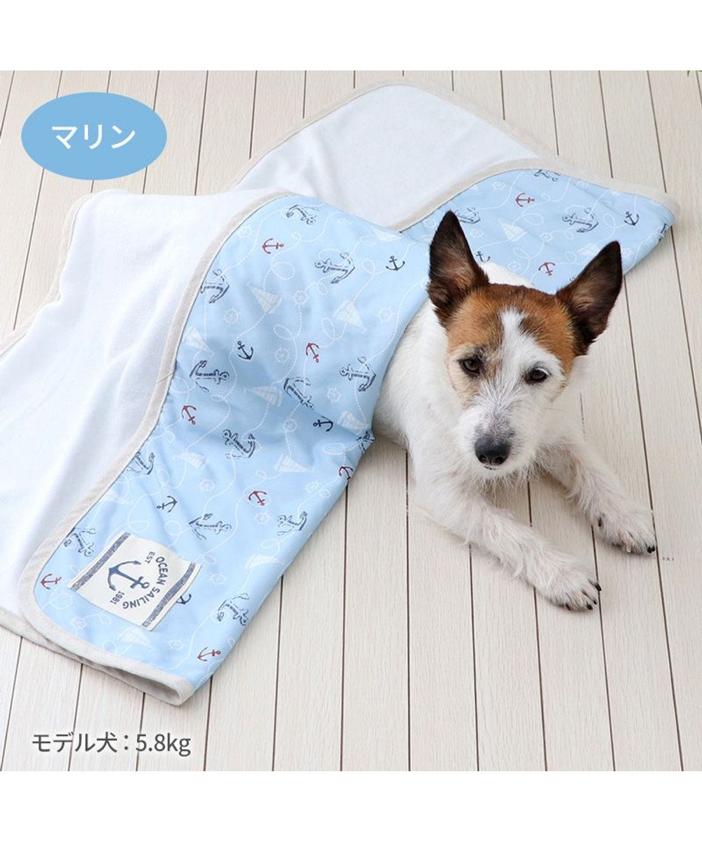 PET PARADISE ペットパラダイス クールケット 《マリン柄》 小型犬 