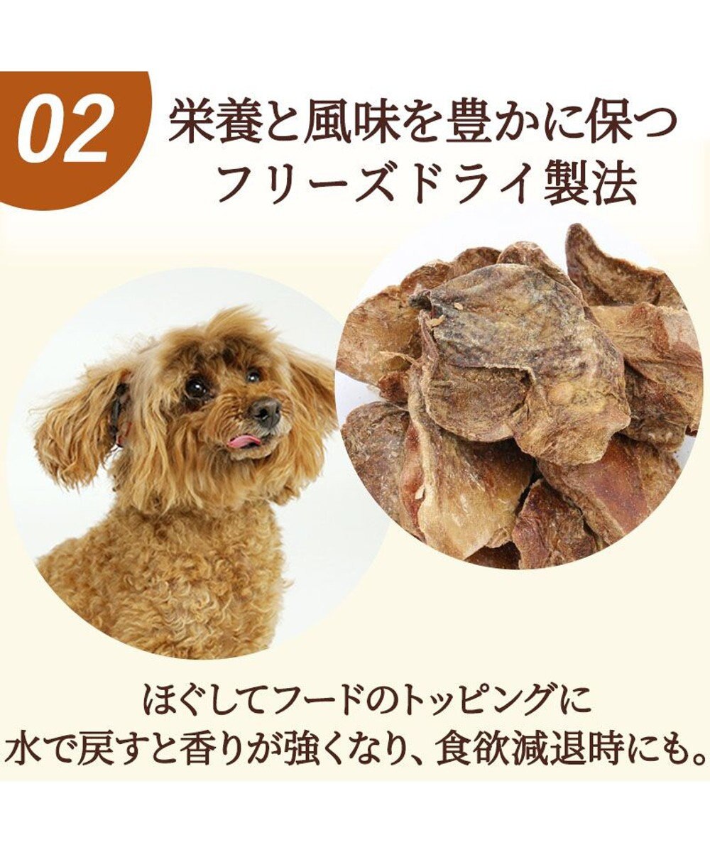 PET PARADISE  フリーズドライ  鶏レバー 40g 国産 