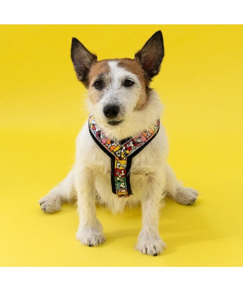 PET PARADISE スヌーピー 75周年 アクティブ ハーネス 小型犬 ３S 