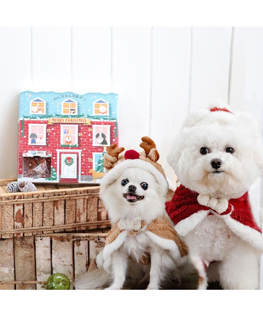 PET PARADISE 2024 クリスマス アドベントカレンダー おやつ 国産 