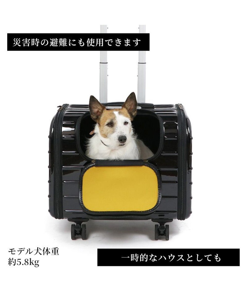 PET PARADISE キャリーバッグ キャスター付き 4輪 カート【小型犬】 ハード ブラック 