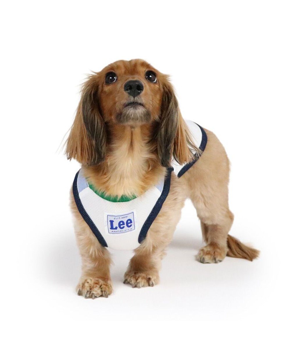 PET PARADISE Lee 接触冷感 タンクトップ《ワーク柄》 小型犬 