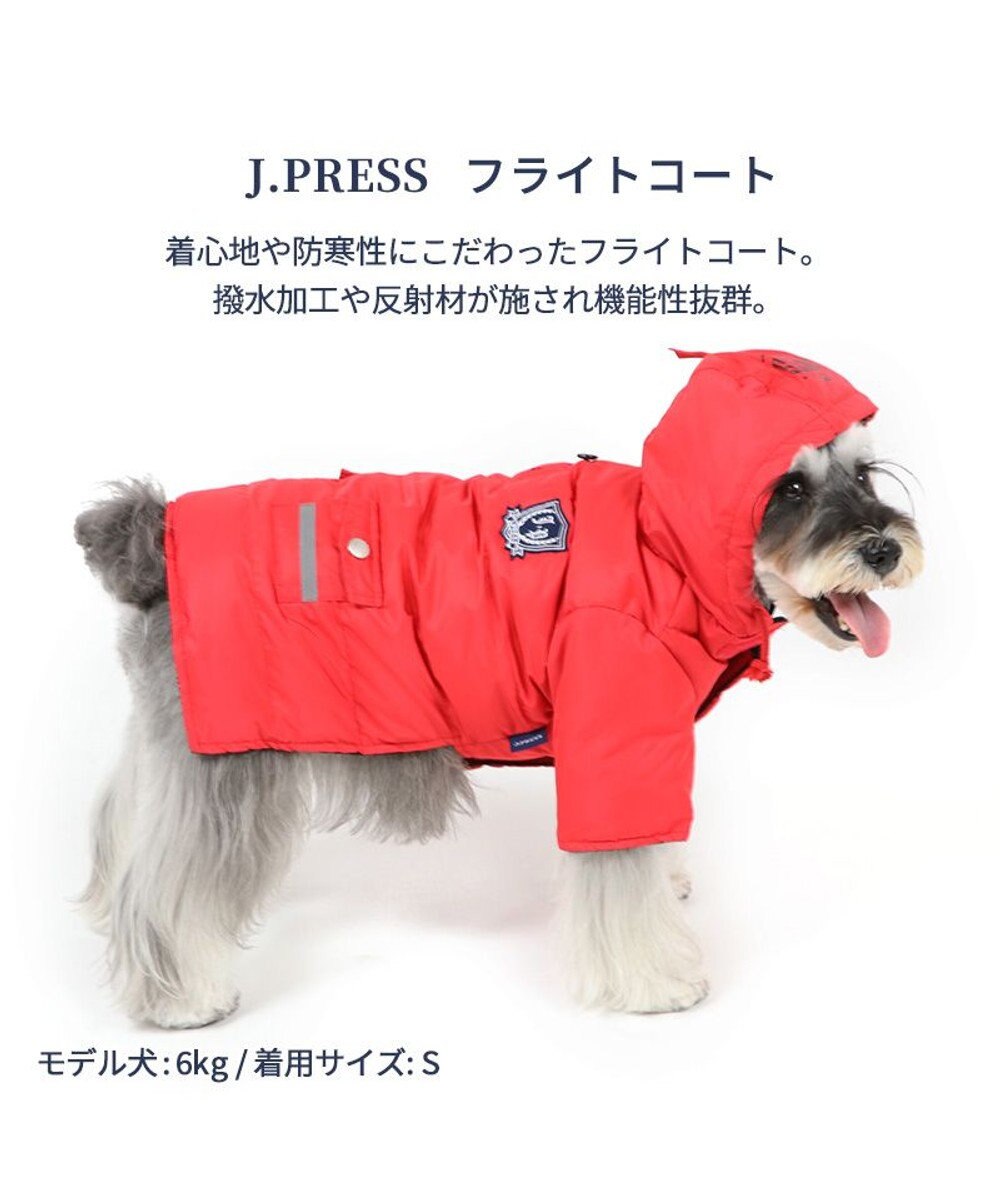 PET PARADISE 犬 服 J.PRESS 綿入り コート 【小型犬】 フライトコート レッド 