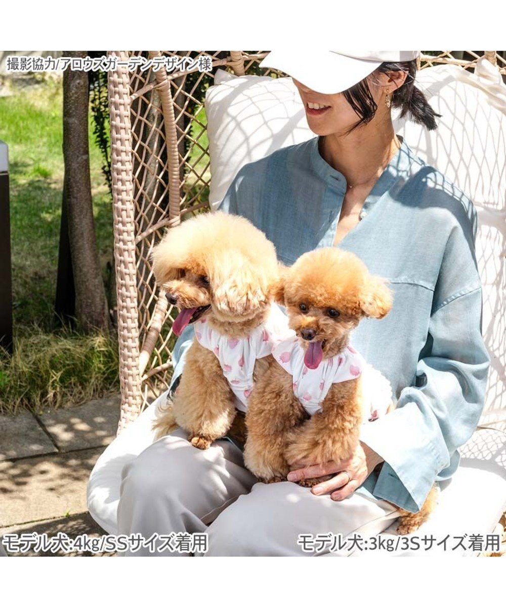 PET PARADISE ペットパラダイス タッチワンクールプラス Tシャツ 《いちご》 小型犬 
