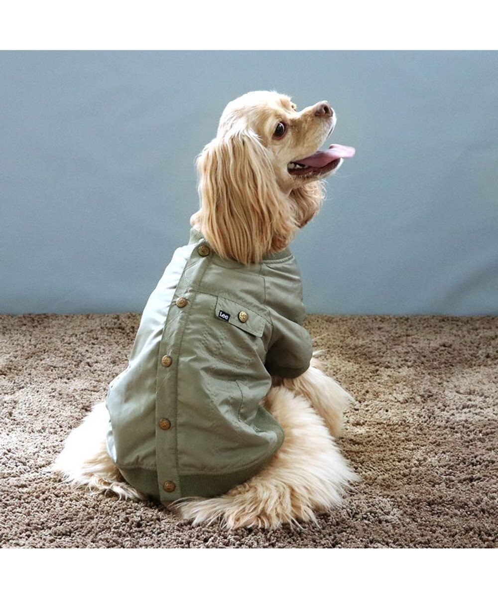PET PARADISE LEE ライダースブルゾン 中型犬 大型犬 