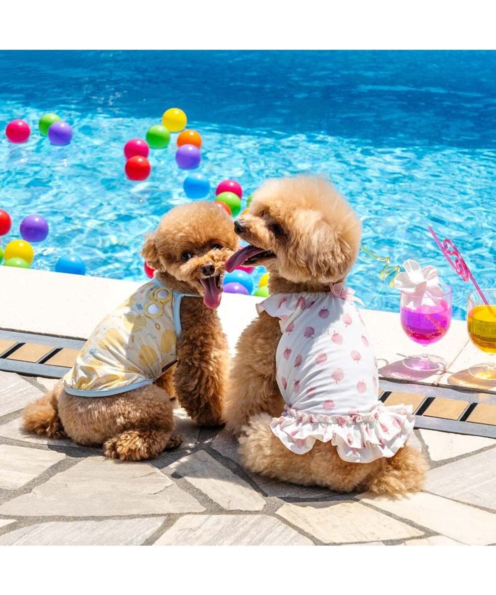 PET PARADISE ペットパラダイス タッチワンクールプラス Tシャツ 《いちご》 小型犬 