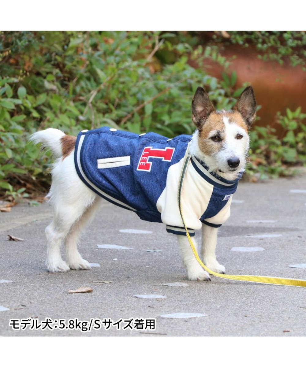 PET PARADISE Lee スタジャン 小型犬 