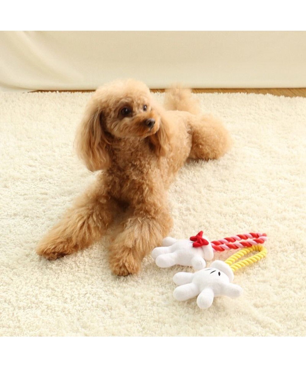 PET PARADISE ディズニー ミッキーマウス 《手のロープトイ》 犬用おもちゃ 