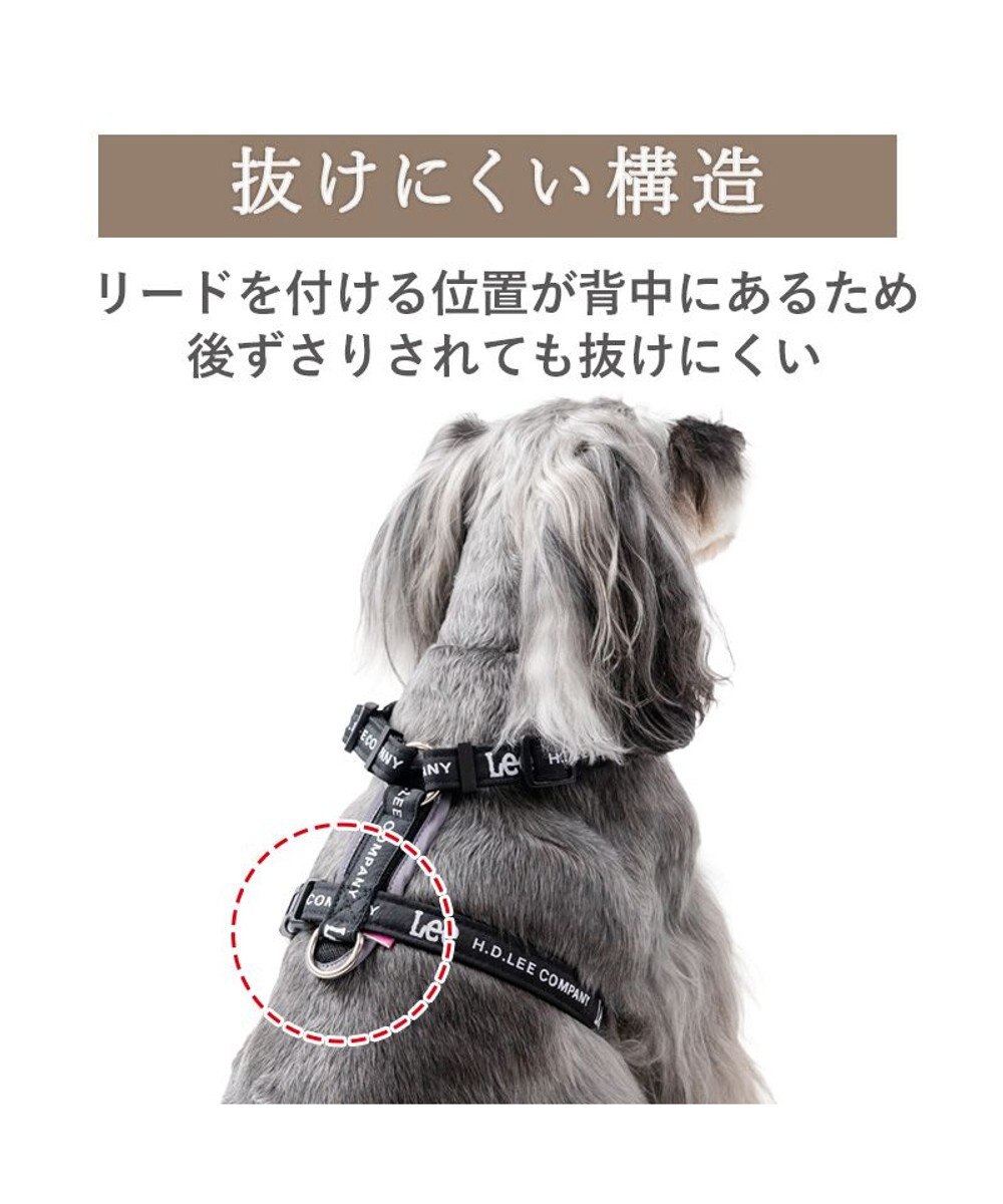 PET PARADISE Lee ロゴアクティブ ハーネス Ｓ 