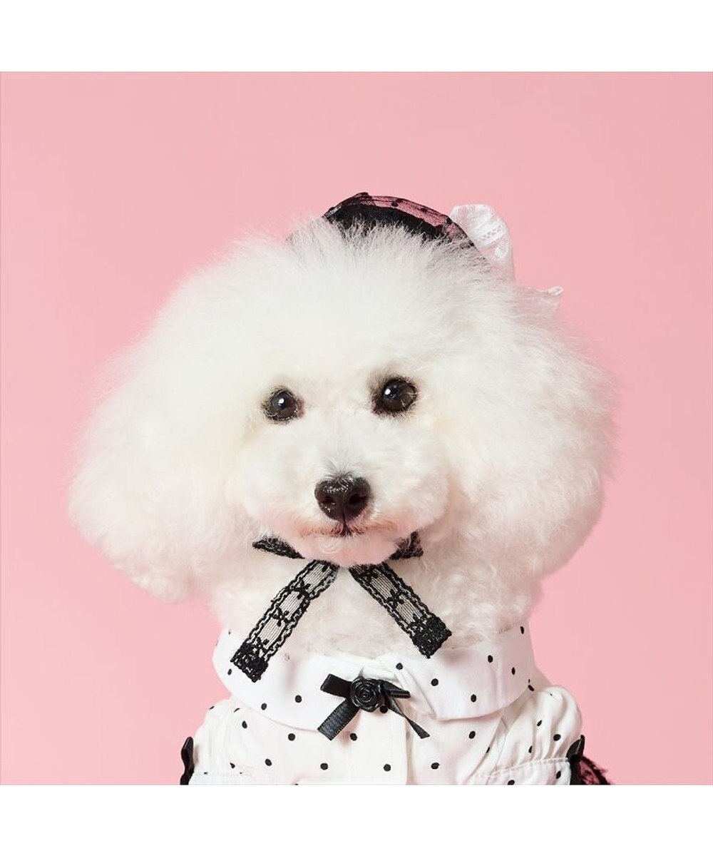 PET PARADISE cherircouture ベレー帽 ４Ｓ～３Ｓ / ＳＳ～Ｓ 