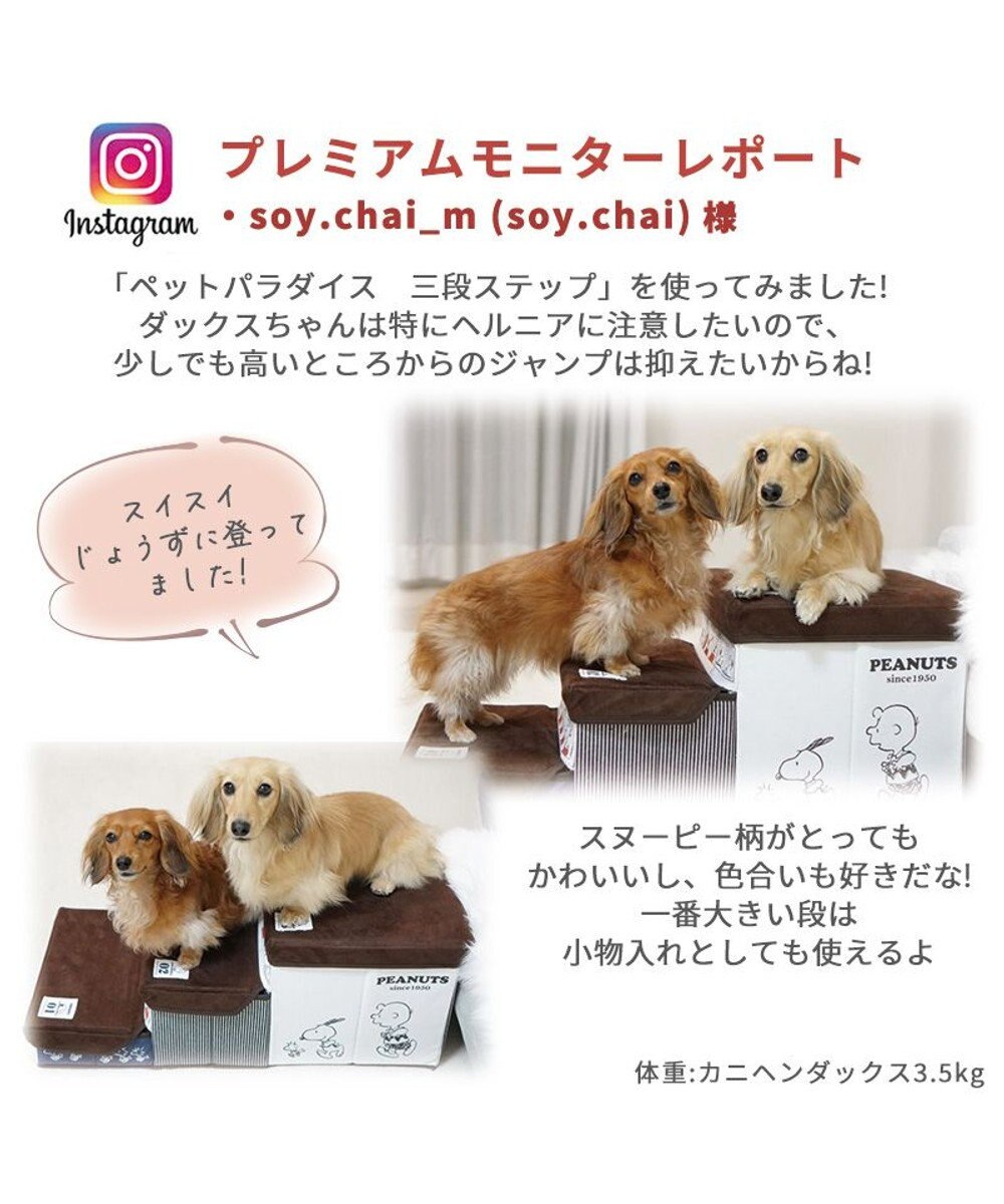 PET PARADISE 犬 ステップ 階段 スヌーピー 3段 ステップ 収納付きフレンズ柄 