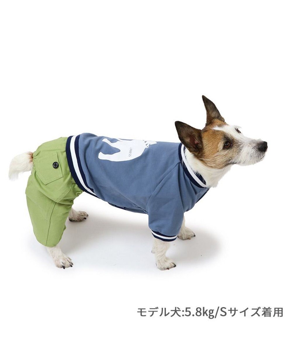 PET PARADISE J.PRESS バックブルドッグ パンツつなぎ 小型犬 
