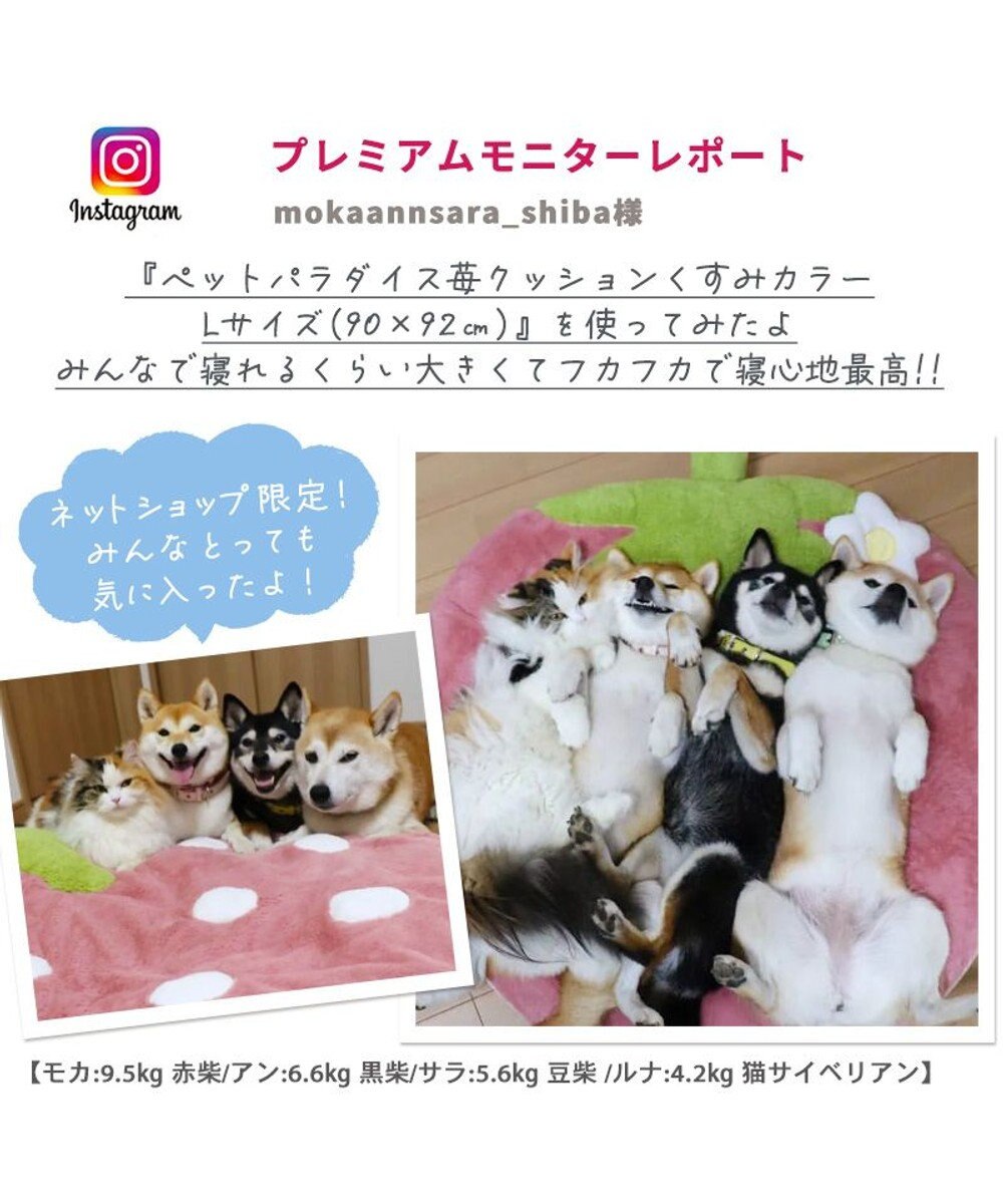 PET PARADISE ネット店限定 ペットパラダイス くすみ苺 クッション L 