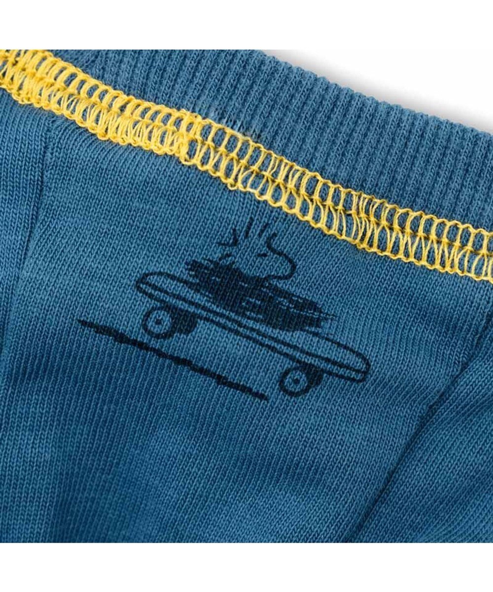 PET PARADISE スヌーピー スケボー Tシャツ 小型犬 