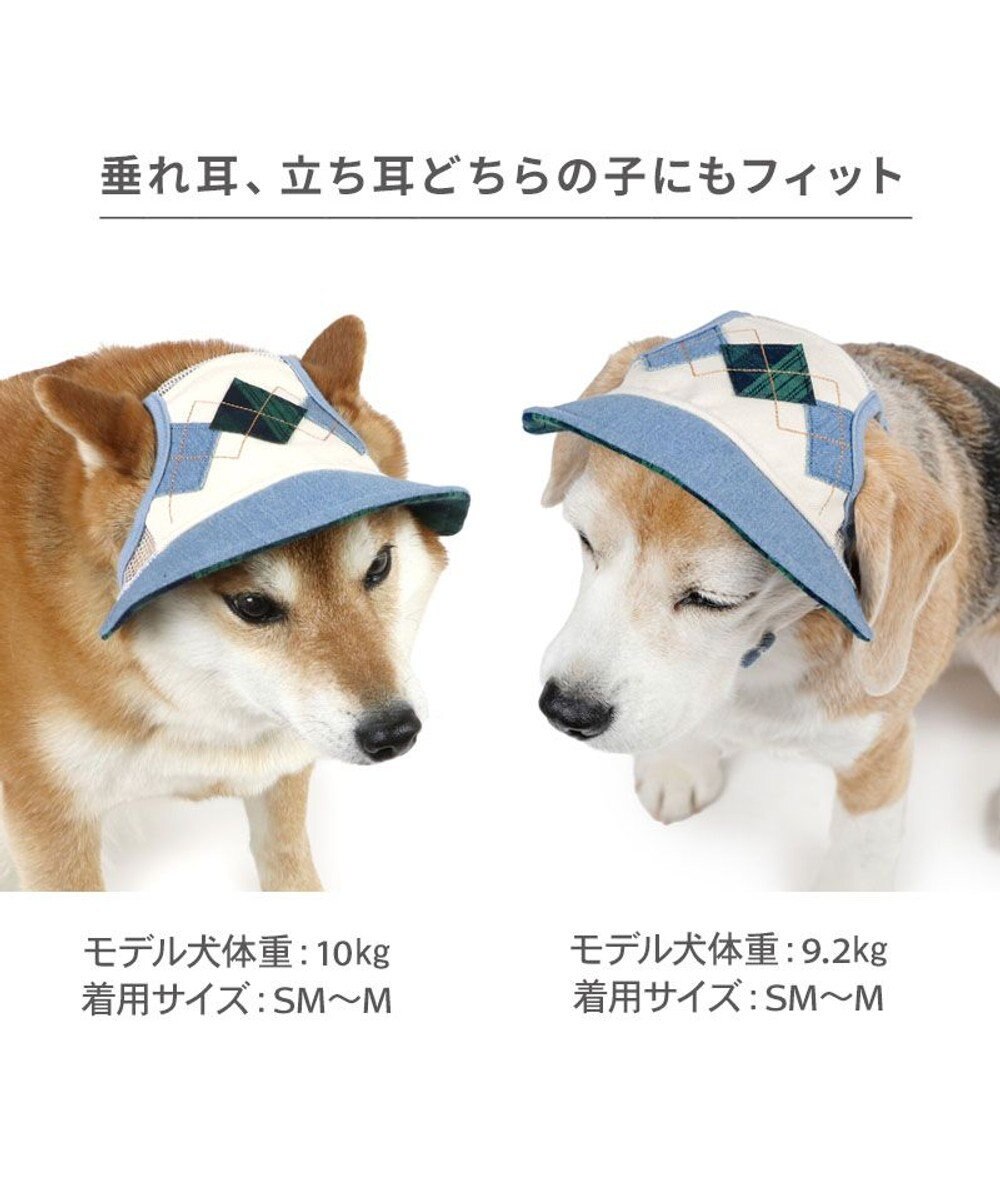 PET PARADISE ペットパラダイス アーガイル柄 帽子 ＳＭ～Ｍ/Ｌ 