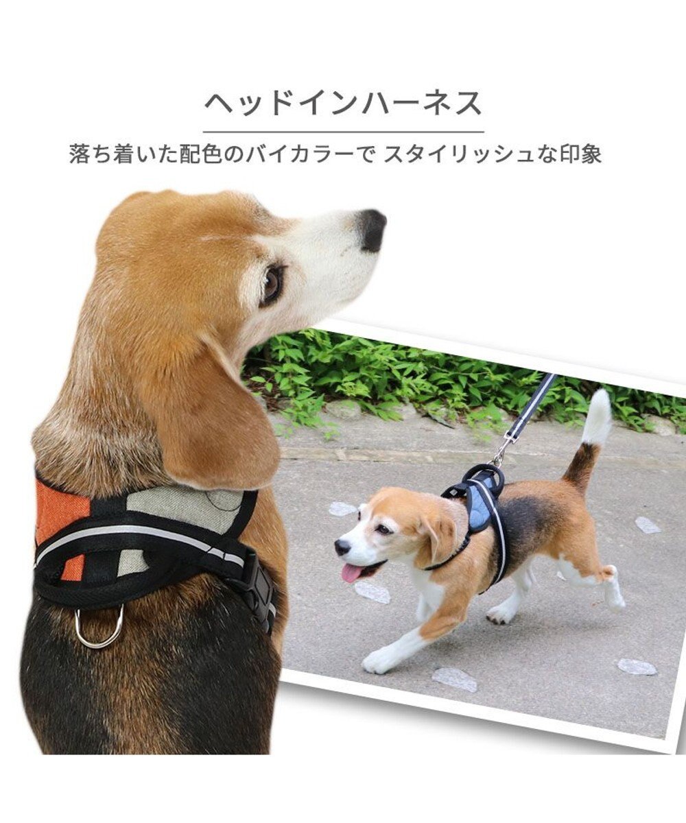 PET PARADISE ヘッドインハーネス  【ＳＭ】 オレンジ / ブルー 【中型犬】 