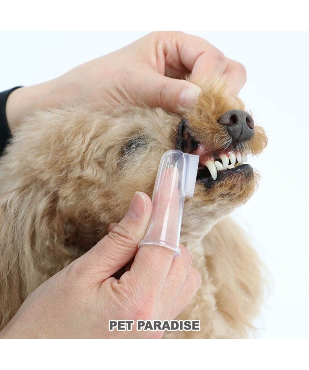 PET PARADISE ペットパラダイス シリコン製 指 歯ブラシ 2個入り 