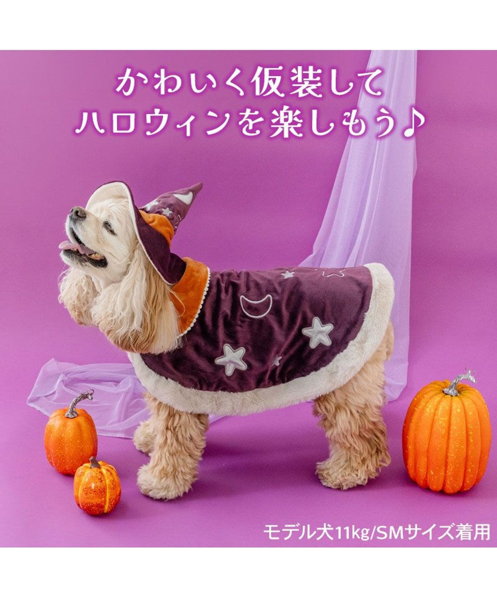 PET PARADISE ペットパラダイス 魔法つかいマント 中型犬 大型犬 