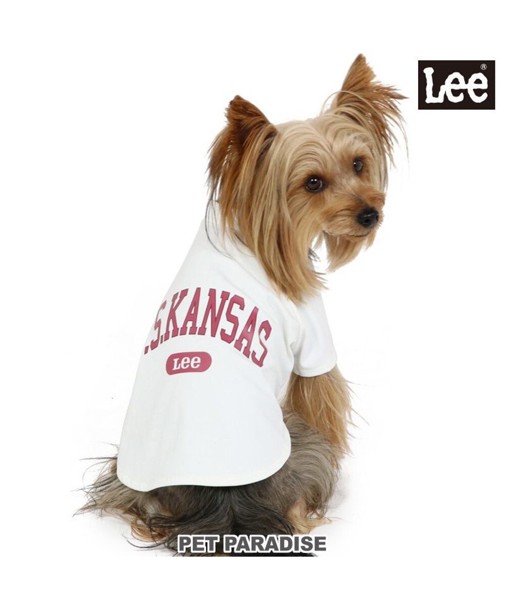 PET PARADISE 犬の服 犬 Ｌｅｅ tシャツ 【小型犬】 カレッジ 