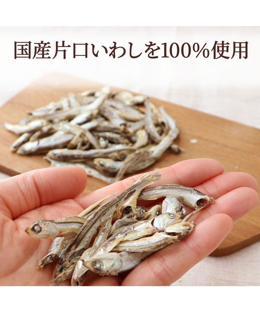 PET PARADISE ペットパラダイス 猫用おやつ 塩無添加 片口いわし 40g 