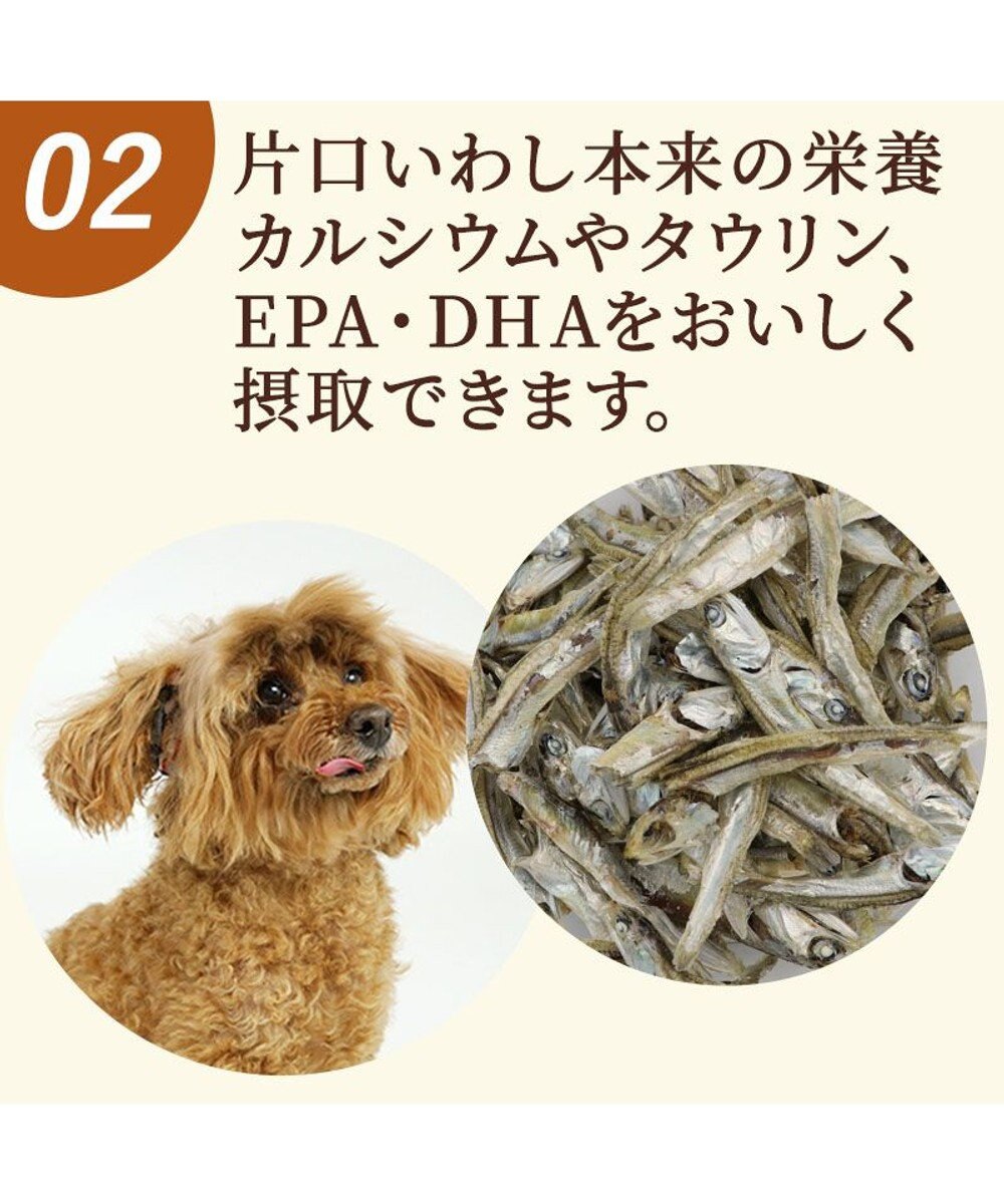 PET PARADISE ペットパラダイス 猫用おやつ 塩無添加 片口いわし 40g 