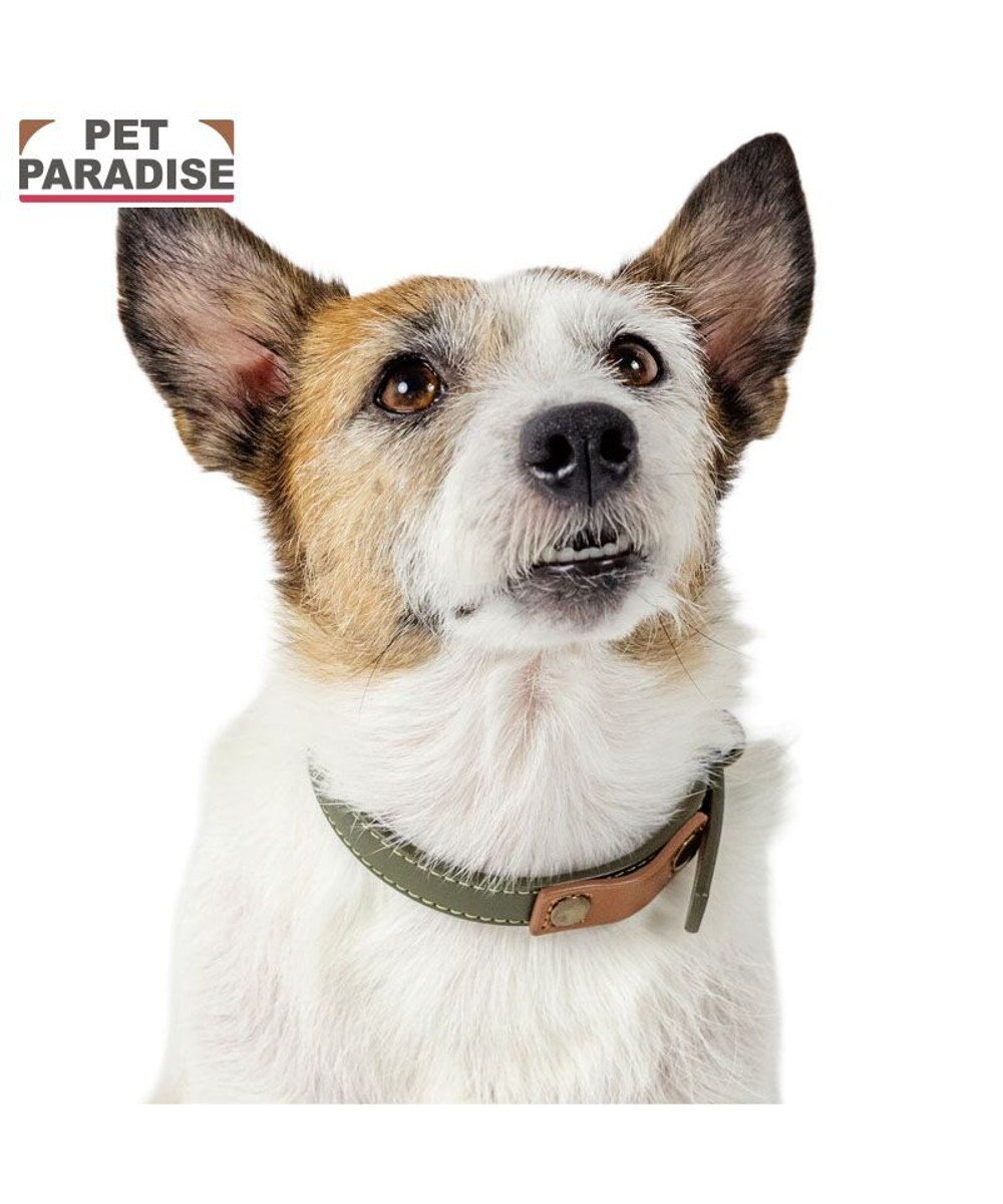 PET PARADISE ペットパラダイス 合皮 首輪 《カーキ》 小型犬 SS 