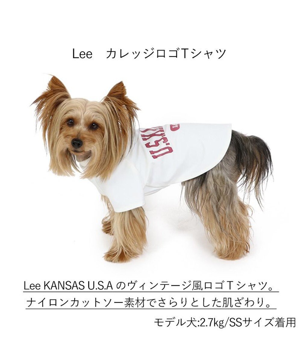 PET PARADISE 犬の服 犬 Ｌｅｅ tシャツ 【小型犬】 カレッジ 