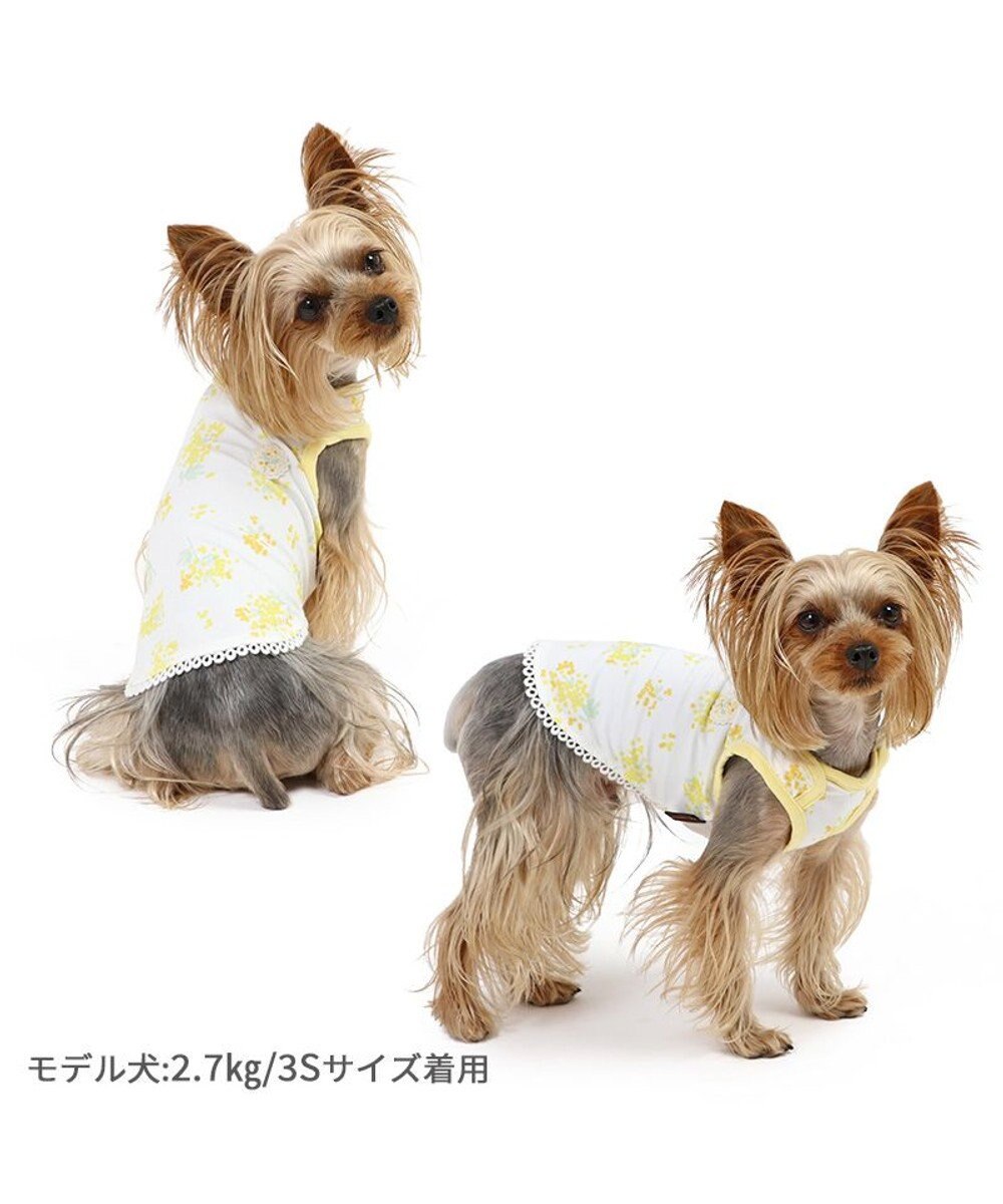 PET PARADISE ペットパラダイス はじめてタンクトップ 《ミモザ柄》 小型犬 