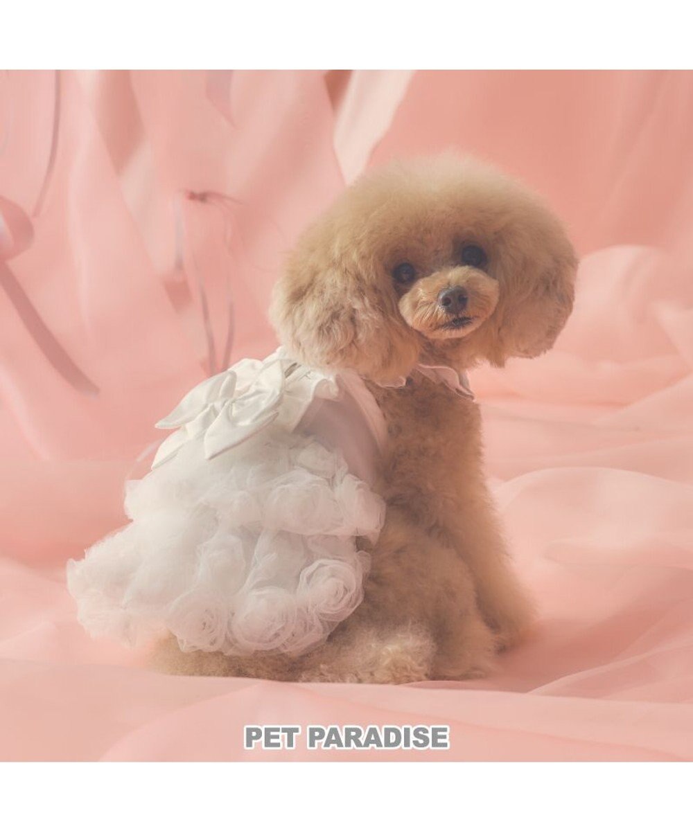 PET PARADISE cherircouture ローズチュールワンピース 《ホワイト》 小型犬 
