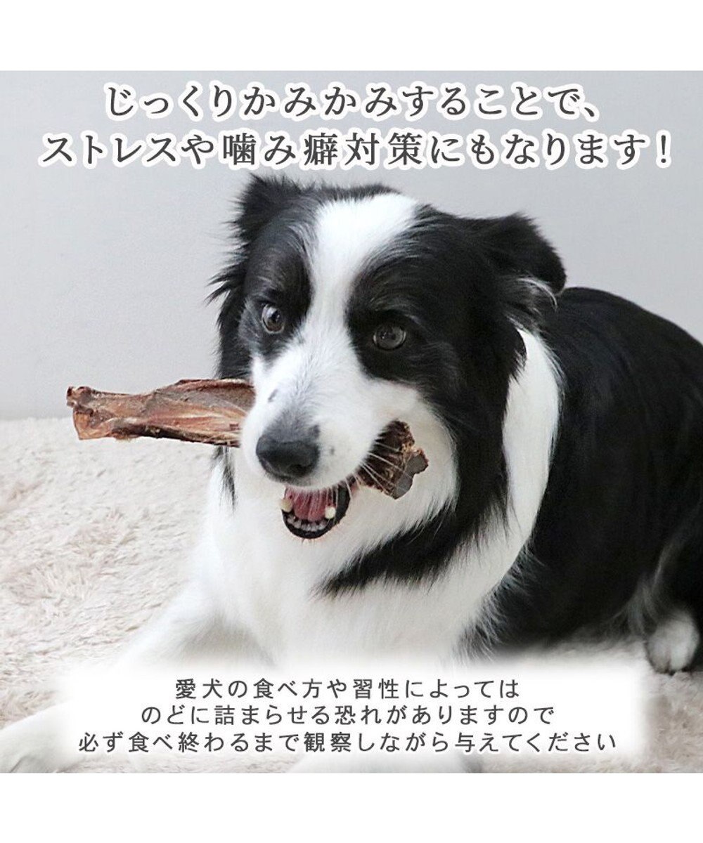 PET PARADISE 鹿 肩甲骨 デンタルおやつ Mサイズ×2本 純国産 