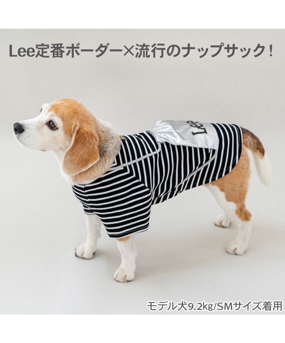 PET PARADISE Lee ナップサックＴシャツ シルバー 中型犬 大型犬 