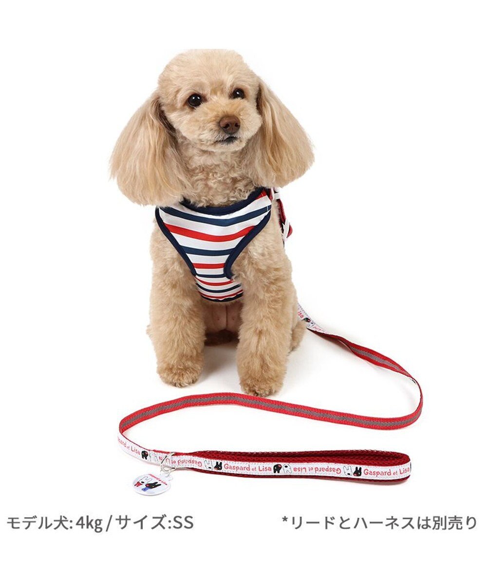 PET PARADISE リサとガスパール 反射リード ４Ｓ~３Ｓ 超小型犬 
