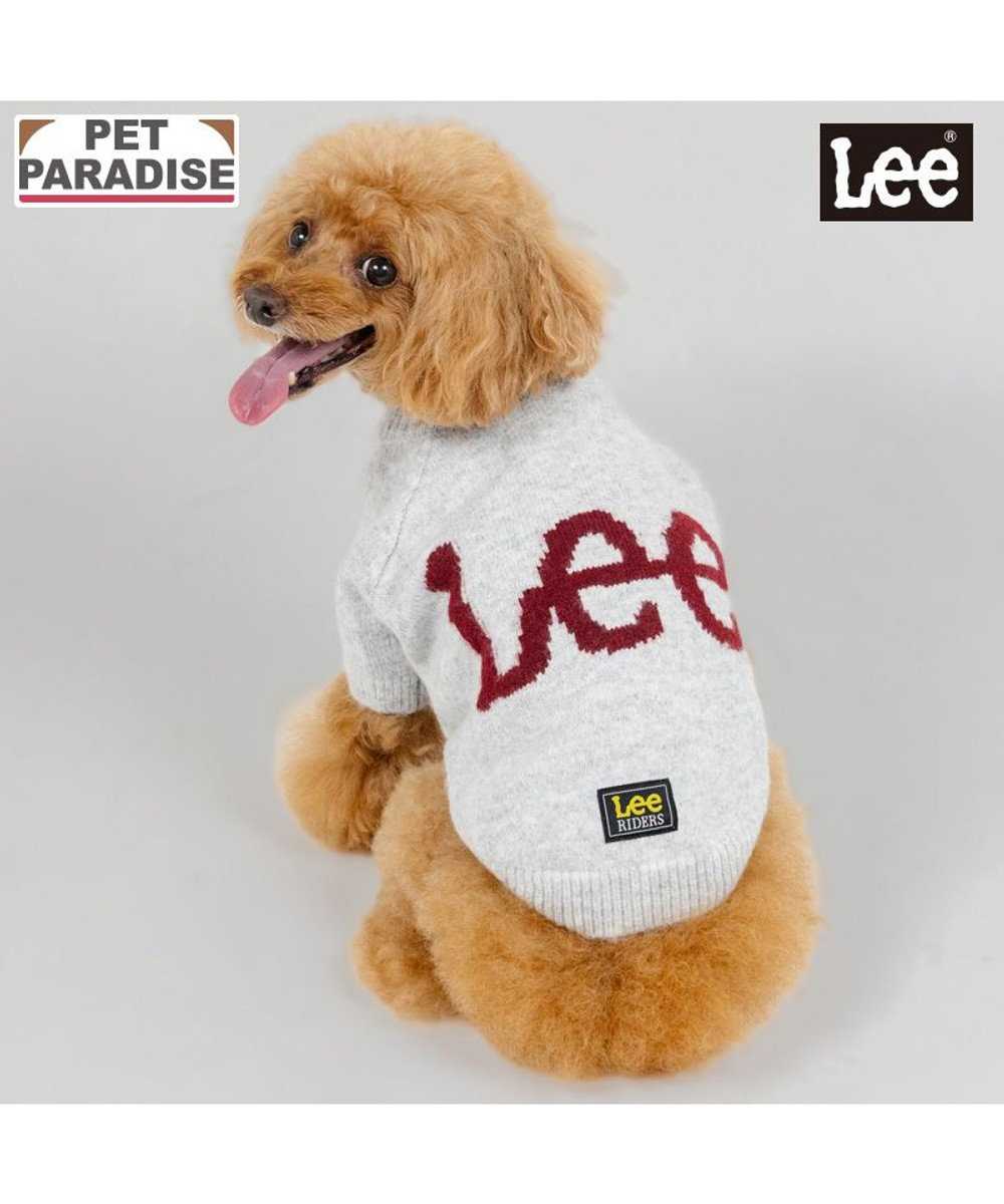 PET PARADISE Lee モヘア ロゴニット 《グレー》 小型犬 