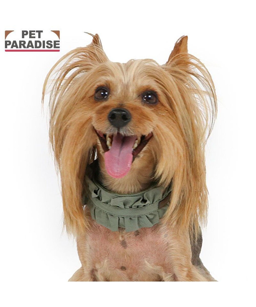 PET PARADISE ペットパラダイス ペタルオリーブ首輪 Ｓ 