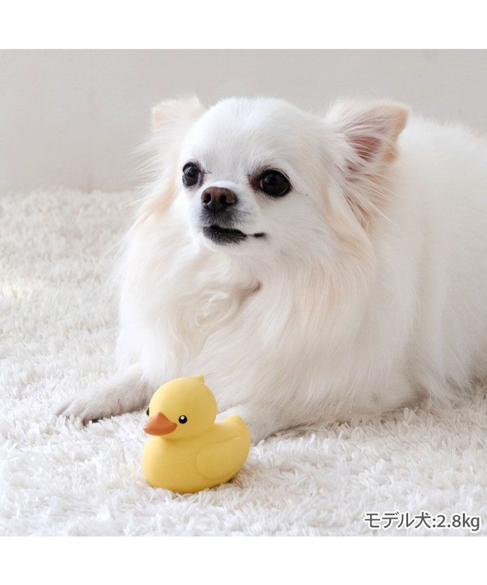 PET PARADISE ペットパラダイス あひる ラテックス トイ 