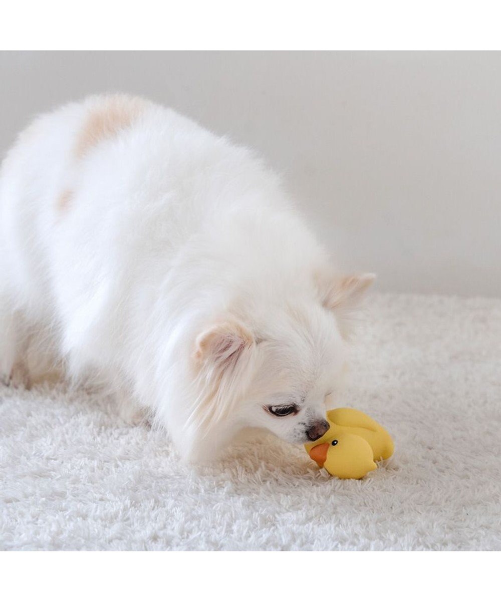 PET PARADISE ペットパラダイス あひる ラテックス トイ 