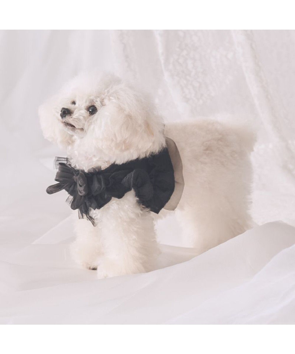 PET PARADISE cherircouture フリフリハーネス 《ブラック》 小型犬 ＳＳ 