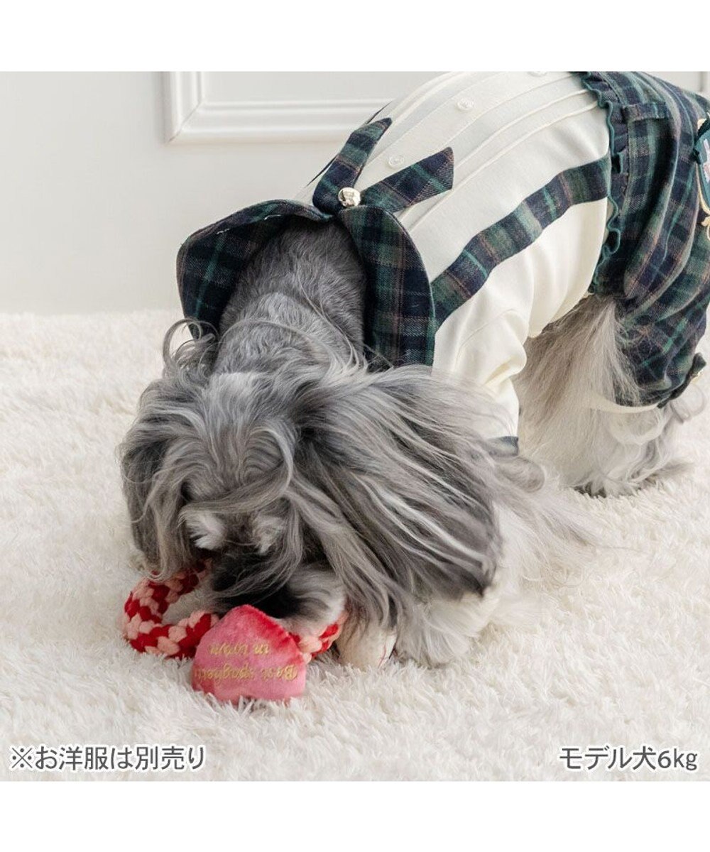 PET PARADISE ディズニー わんわん物語 ハート編み ロープトイ 