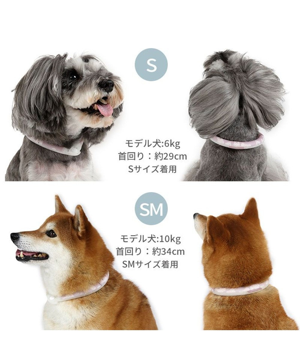 PET PARADISE ペットパラダイス 28℃クールリング  《くま》 Ｓ 小型犬 