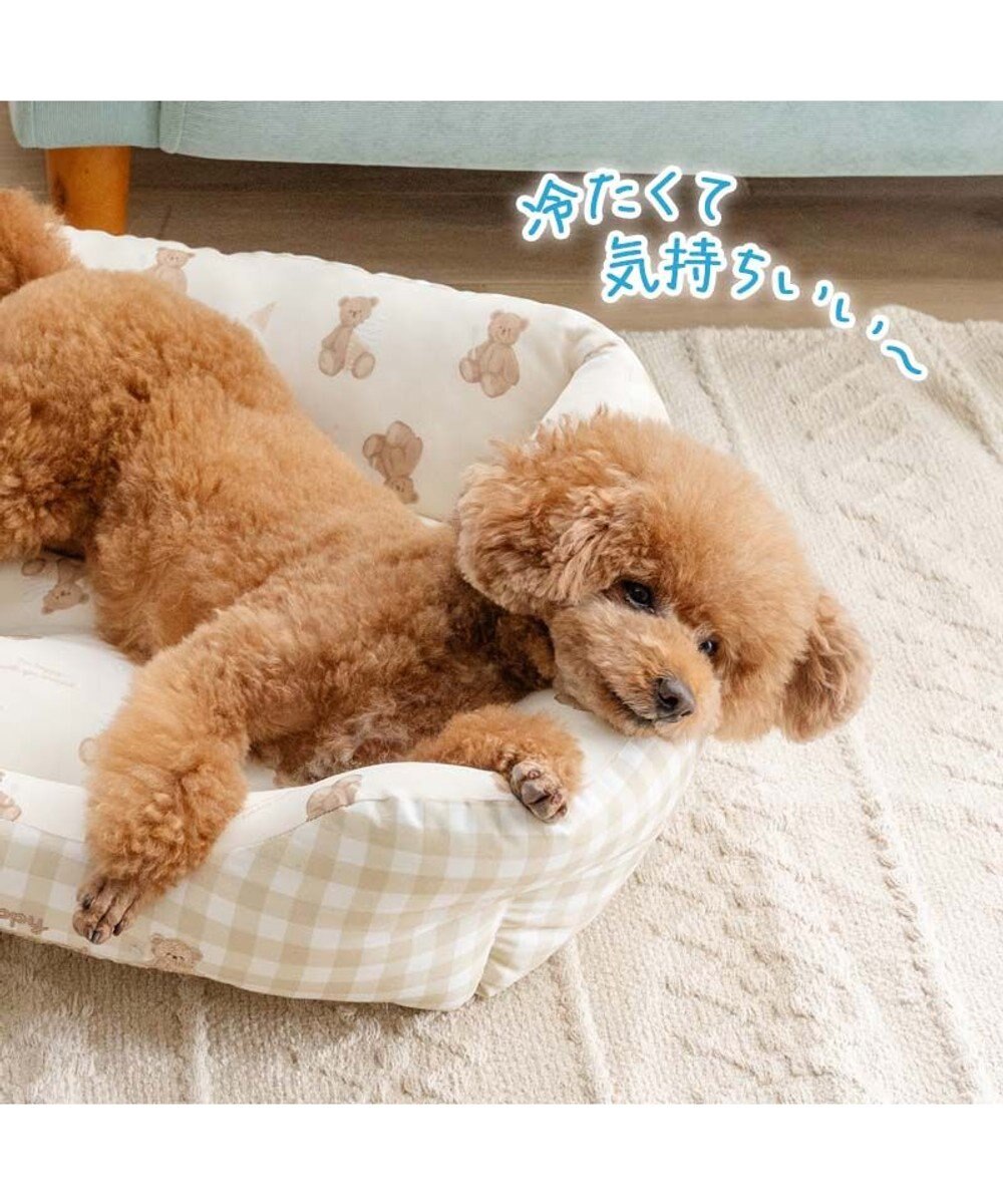 PET PARADISE ペットパラダイス くまさん クールカドラー 《アイス柄》Ｍ 