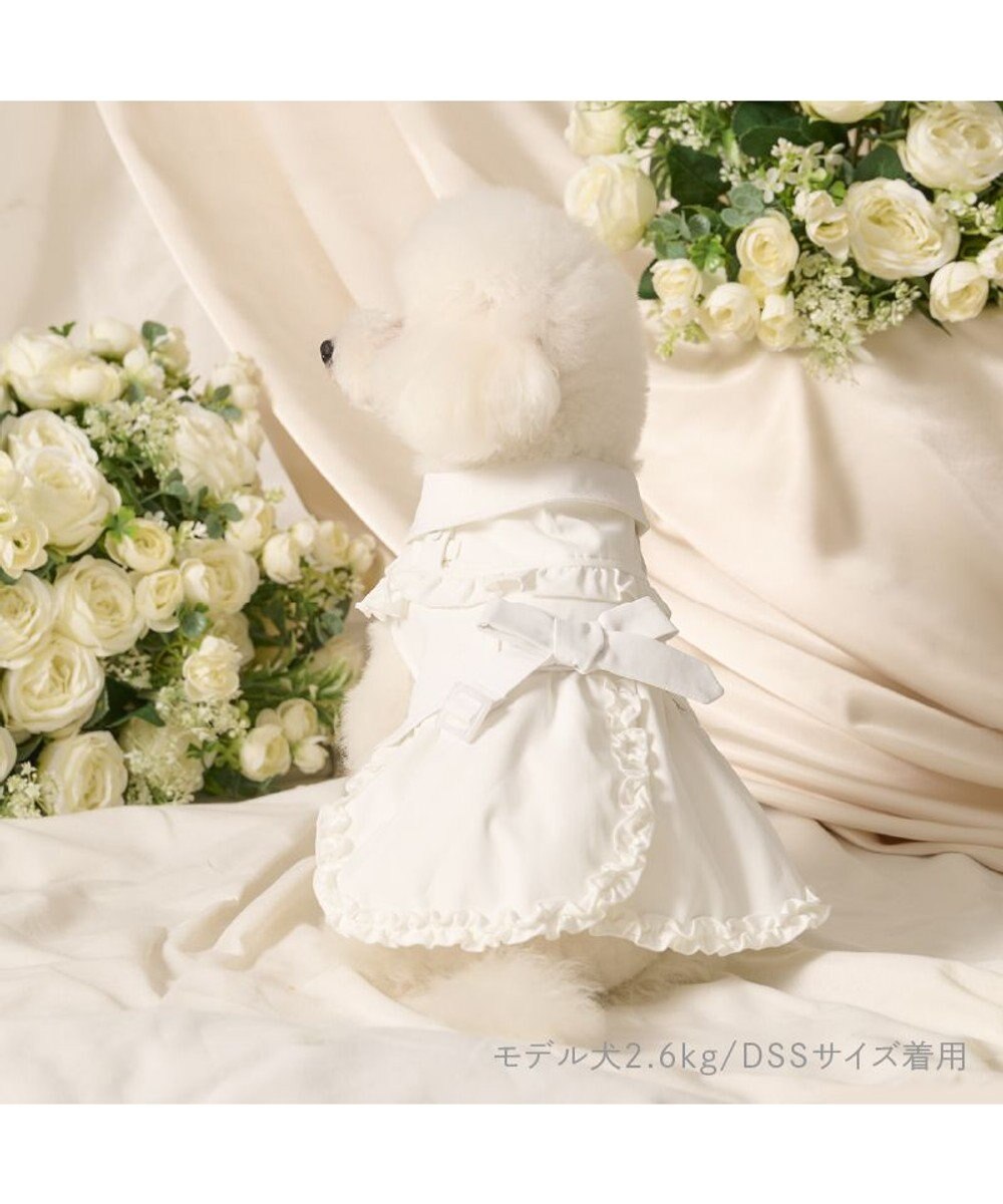 PET PARADISE cherircouture フリフリ トレンチコート 小型犬 