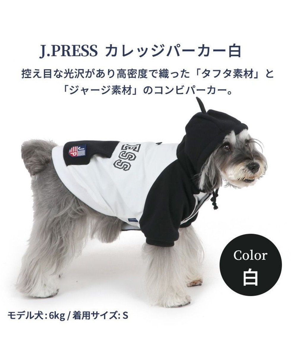 PET PARADISE 犬 服 J.PRESS パーカー  【小型犬】 カレッジ 白 