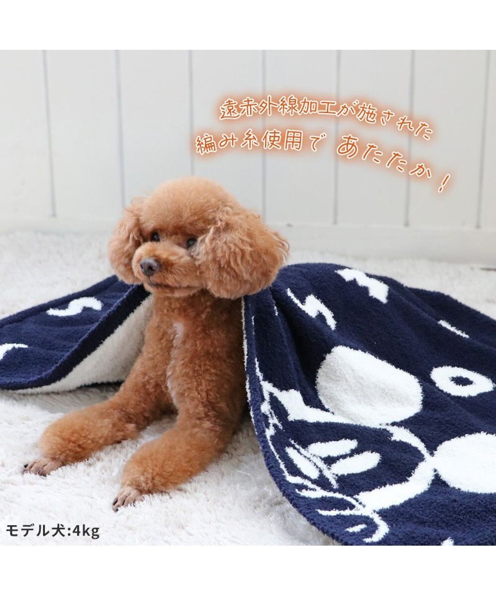 PET PARADISE ディズニー ミッキーマウス 遠赤外線 ブランケット 《ロゴ柄》 90×60cm 