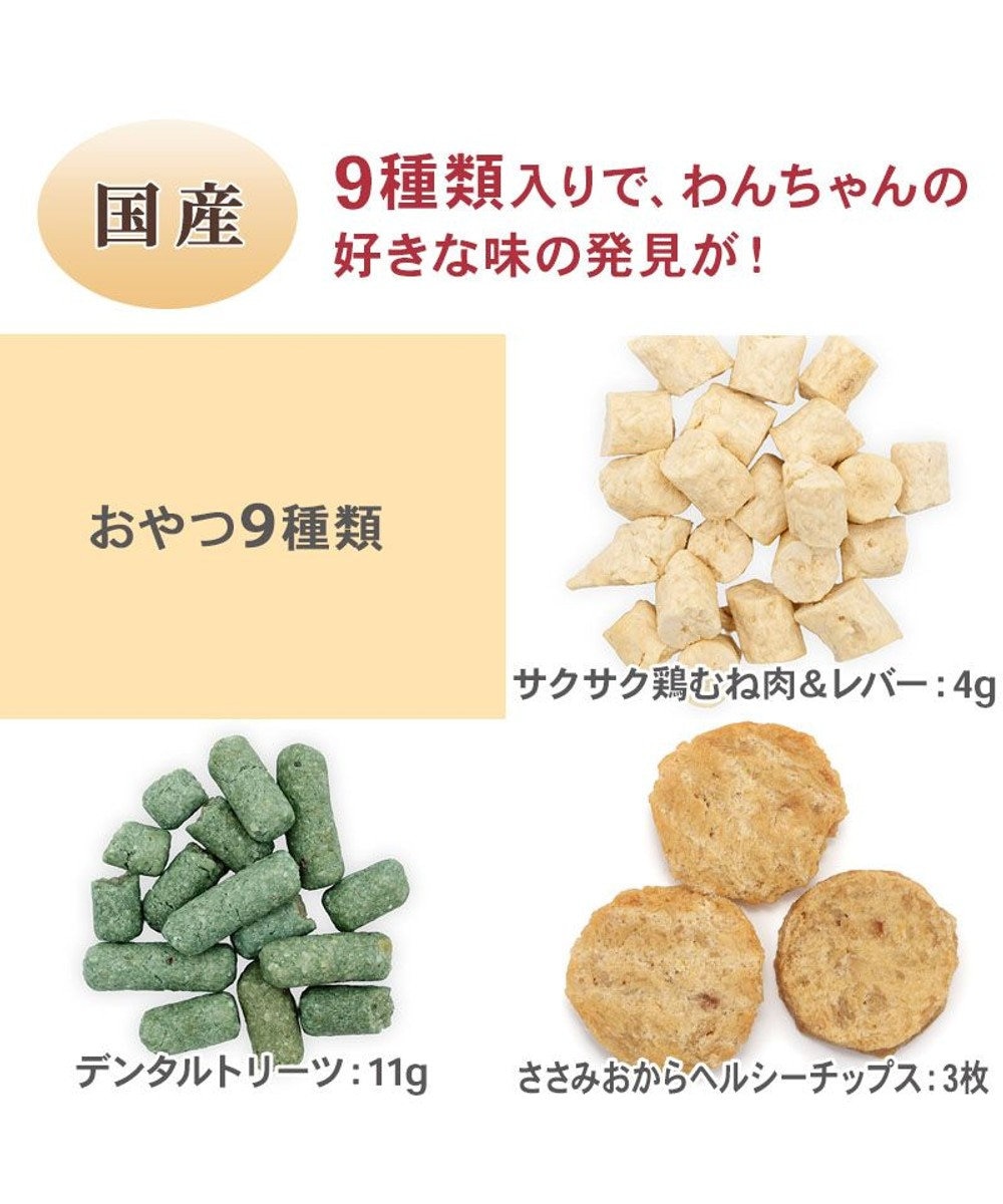 PET PARADISE クリスマス アドベントカレンダー 2026年 おやつ 国産 