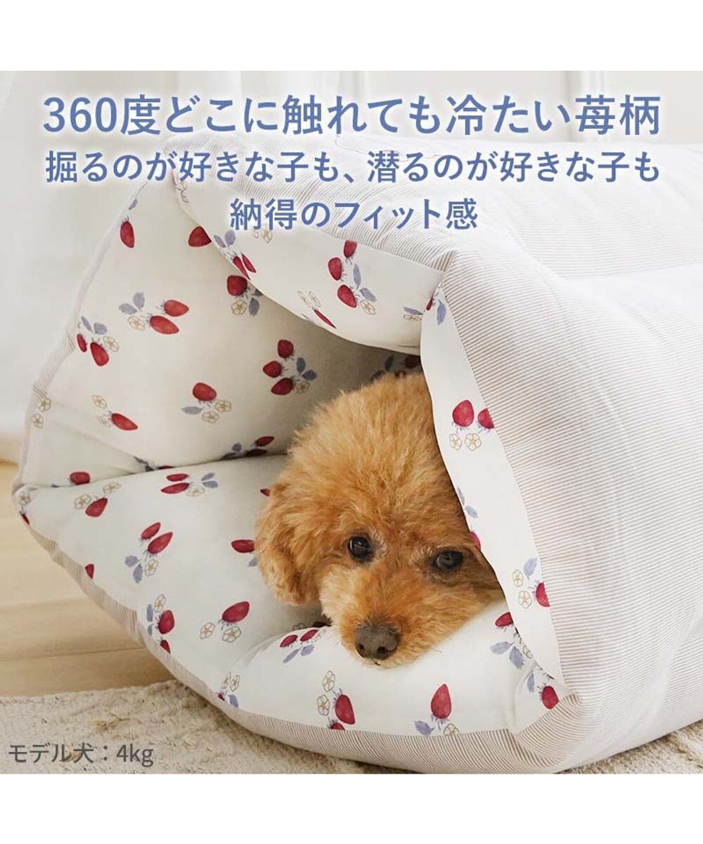 PET PARADISE ペットパラダイス クール トンネルカドラー 《苺花柄》 