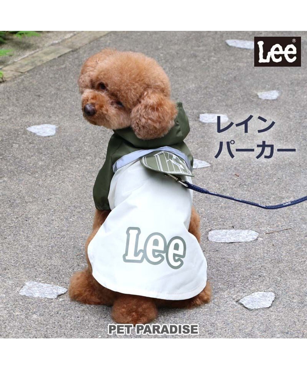 PET PARADISE Lee ポケットレインパーカー 超小型犬 小型犬 