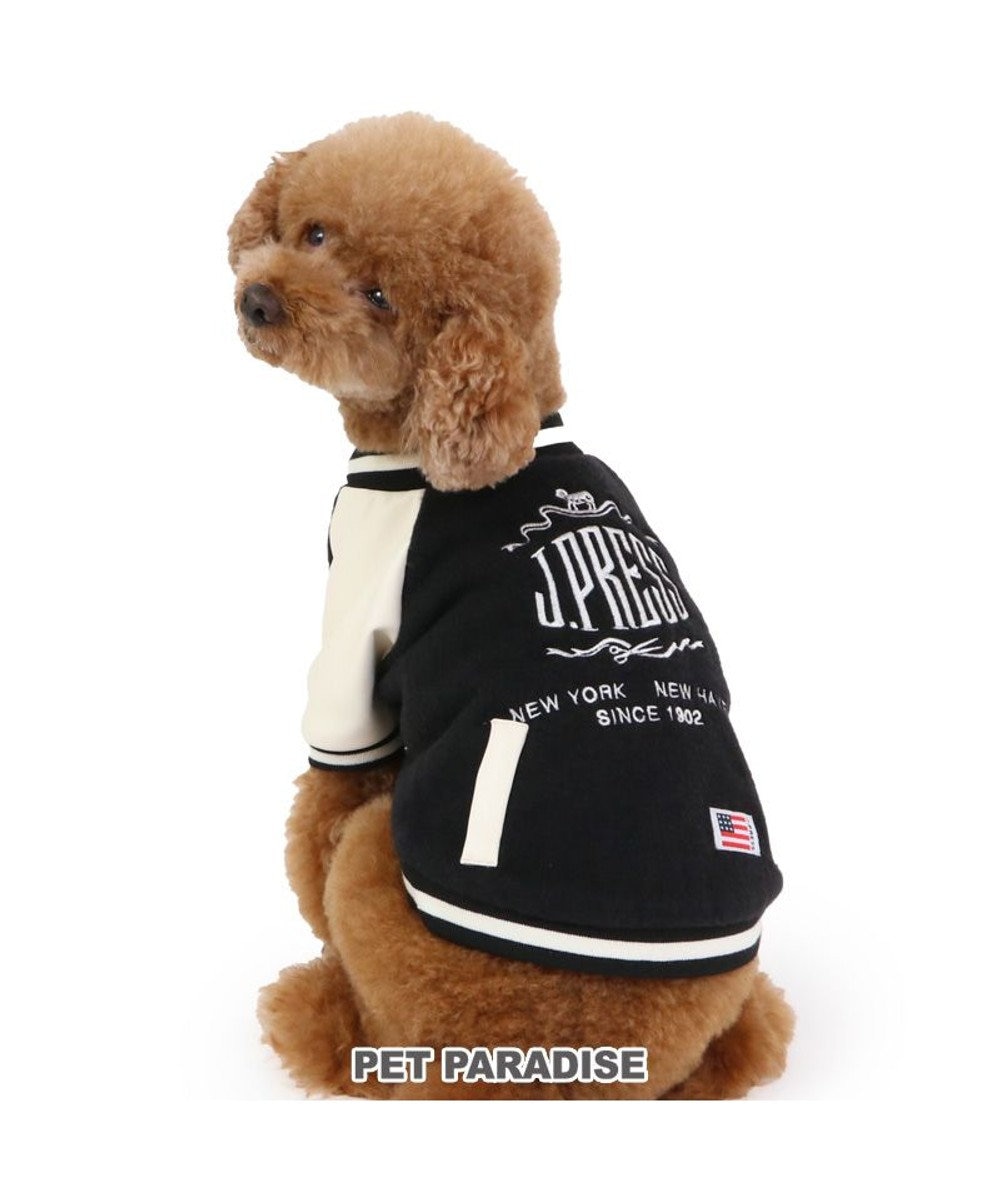 PET PARADISE J.PRESS バイカラー スタジャン  小型犬 