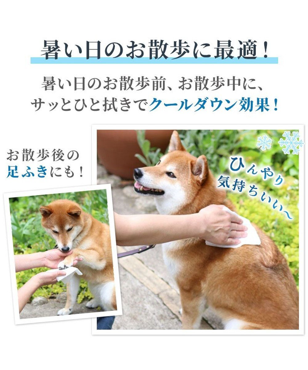 PET PARADISE ペットパラダイス クール  ボディタオル 20枚入り 