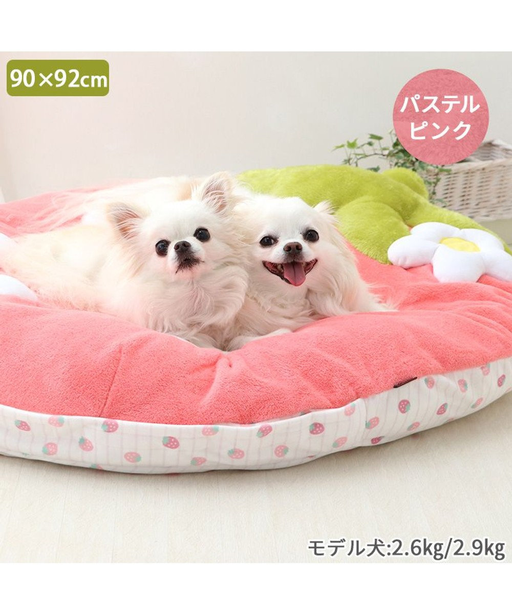 PET PARADISE ネット店限定 ペットパラダイス 春いちご クッション  L 