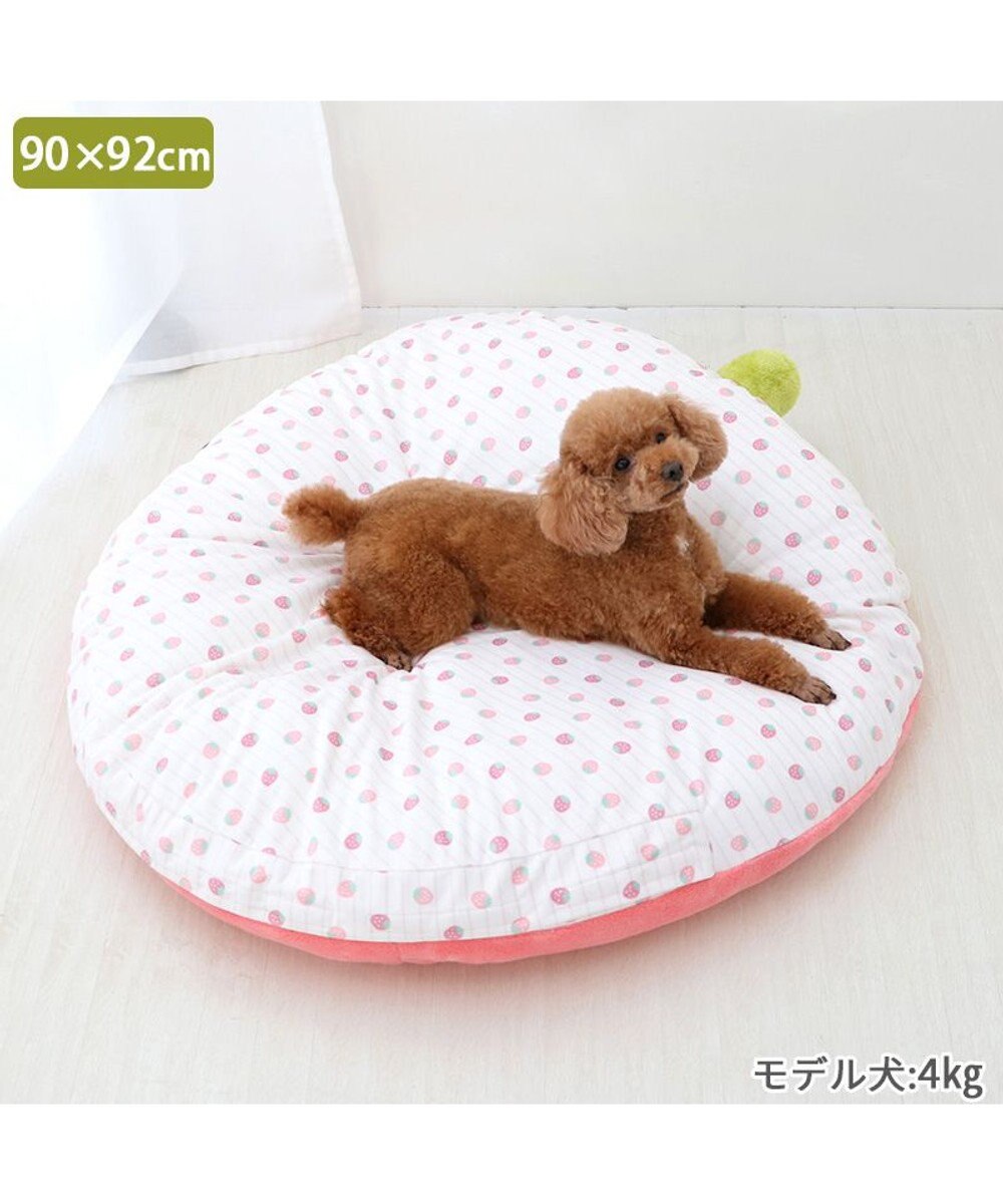 PET PARADISE ネット店限定 ペットパラダイス 春いちご クッション  L 